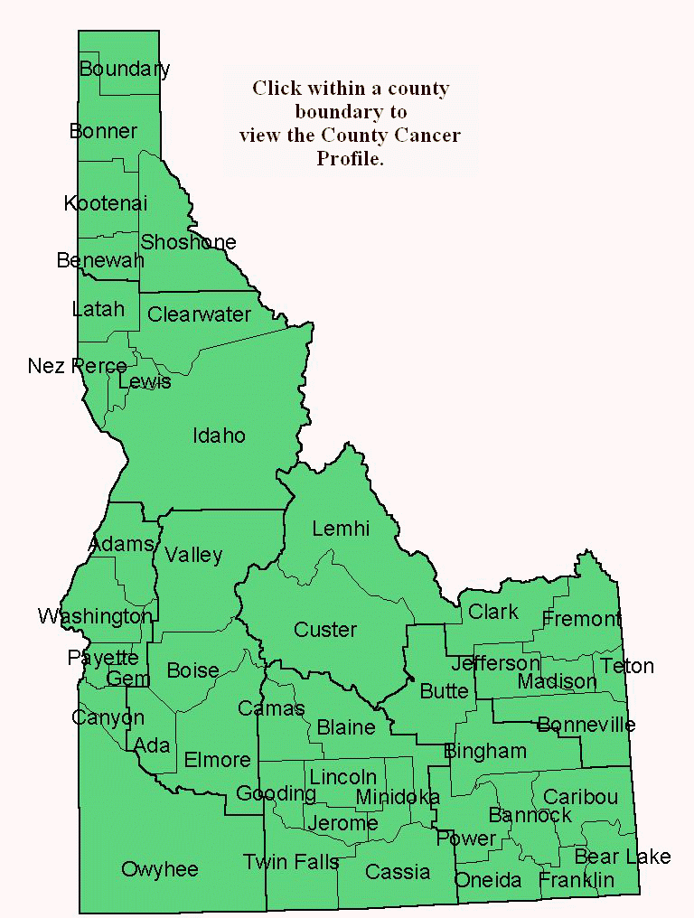 Idaho County Map