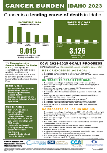 Cancer Burden FactSheet 2023 508C